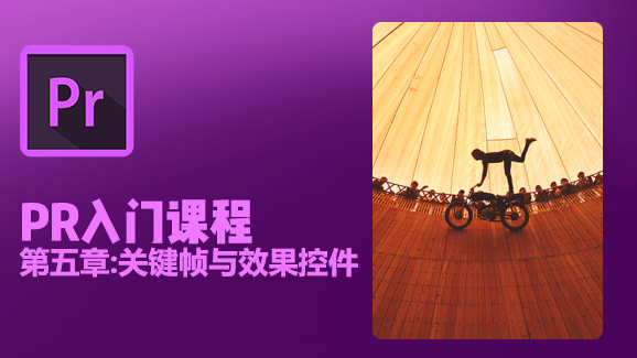 1V1 C4D直播课